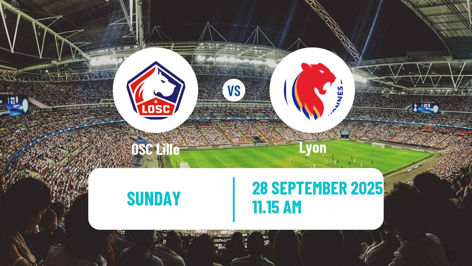 Soccer French Ligue 1 Lille - Lyon