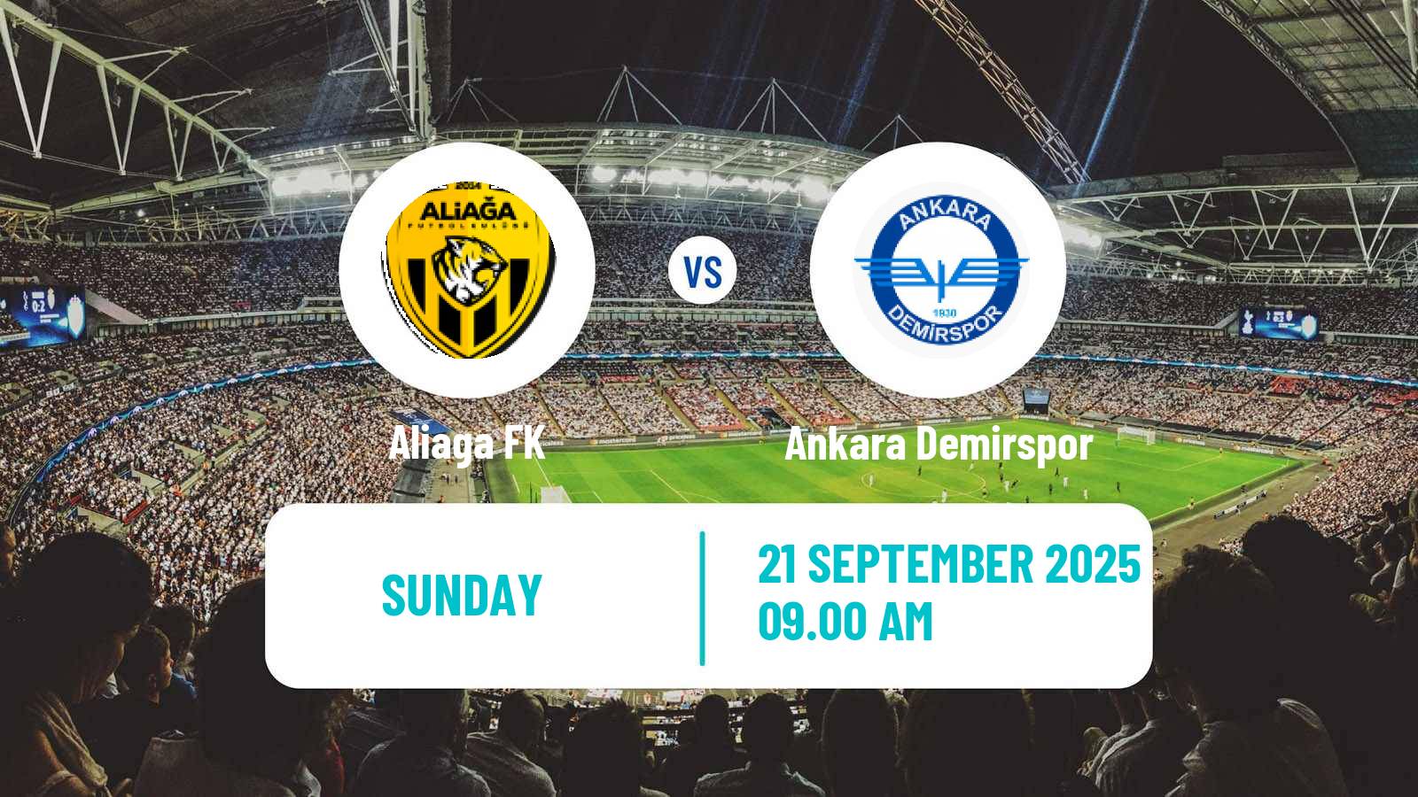 Soccer Turkish Second League Red Group Aliaga - Ankara Demirspor