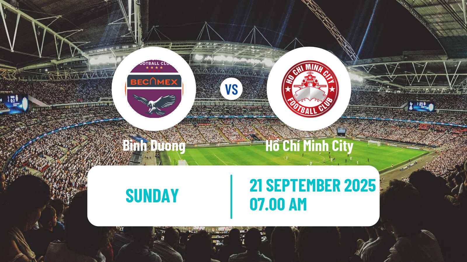 Soccer Vietnamese V League 1 Binh Duong - Hồ Chí Minh City