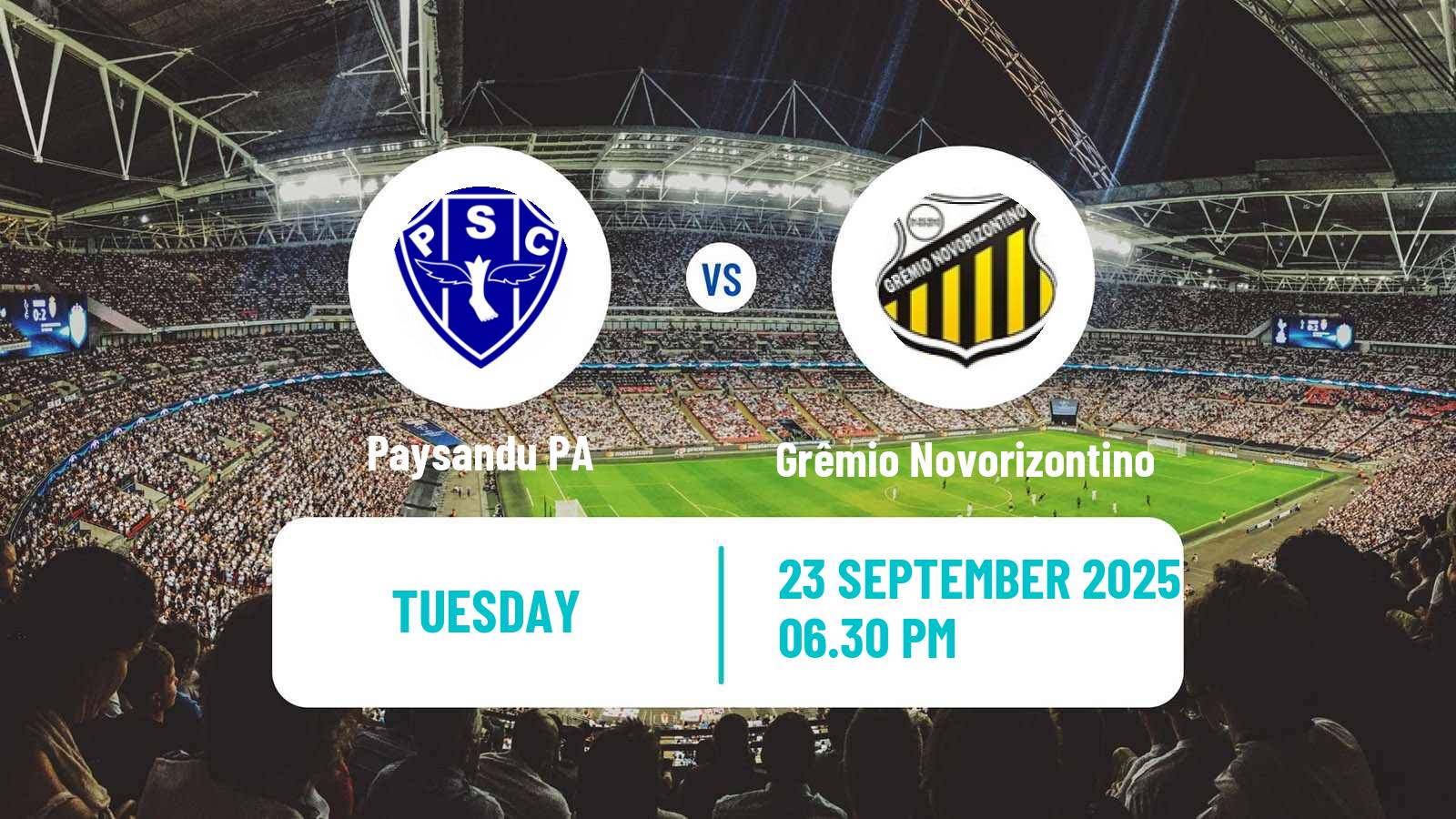 Soccer Brazilian Serie B Paysandu - Grêmio Novorizontino