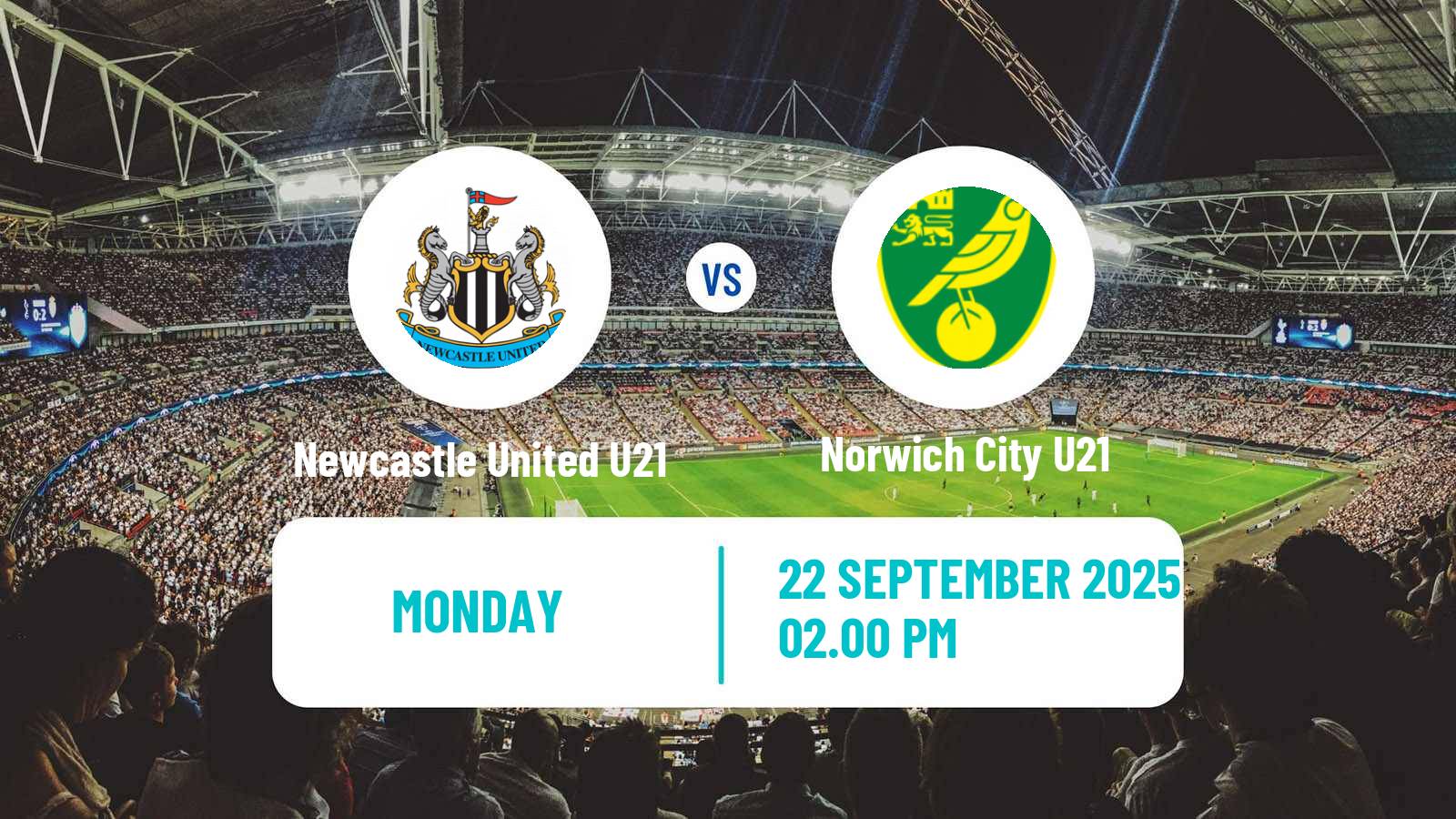 Soccer English Premier League 2 Newcastle United U21 - Norwich City U21