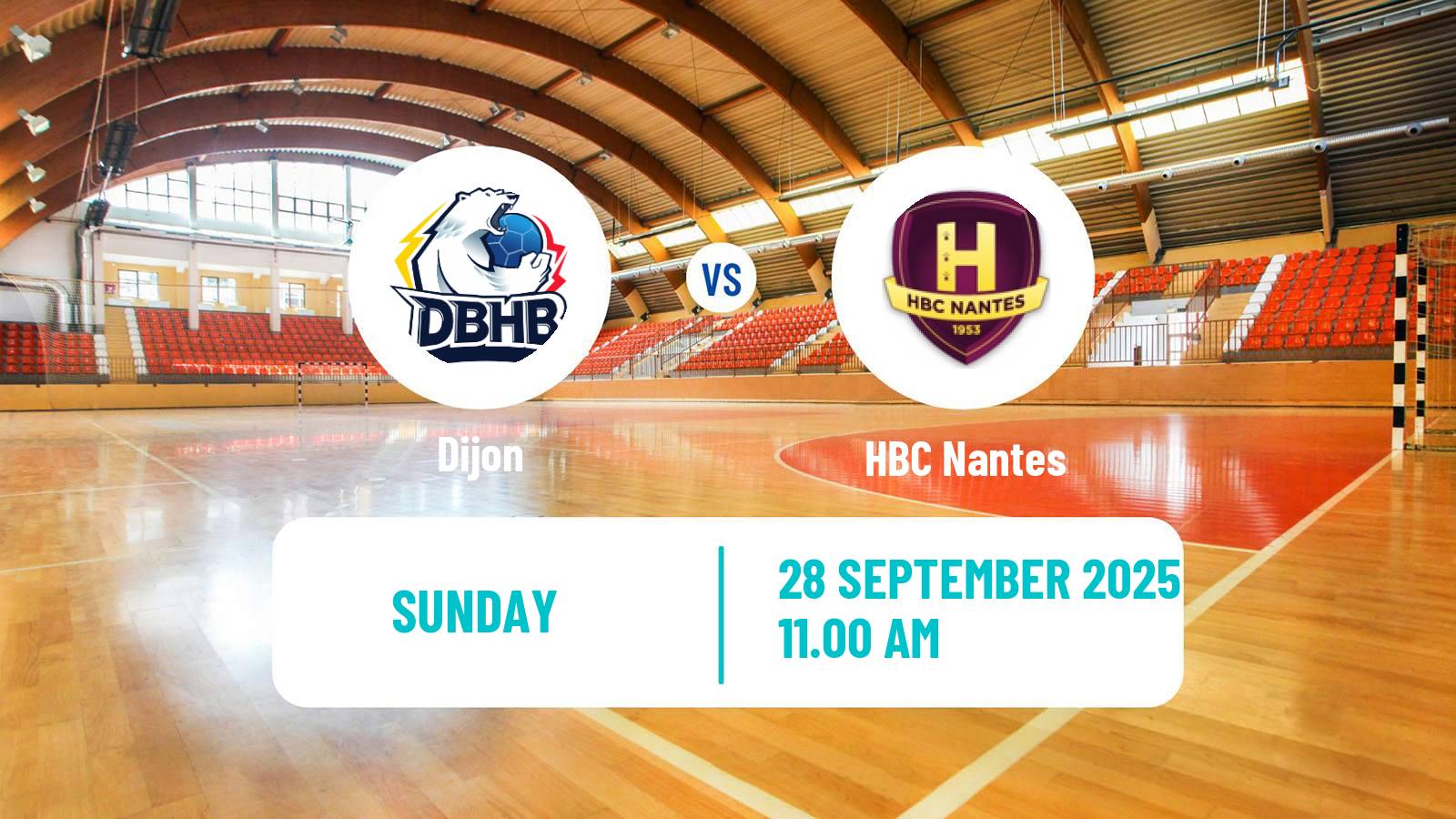 Handball French Starligue Handball Dijon - HBC Nantes