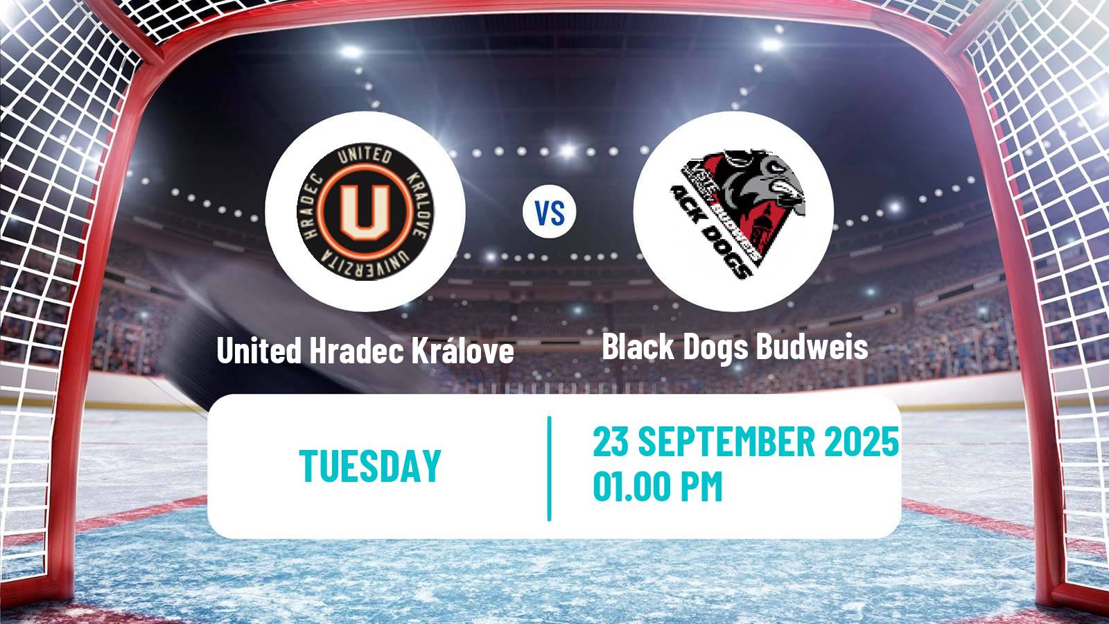 Hockey Czech ULLH United Hradec Králove - Black Dogs Budweis