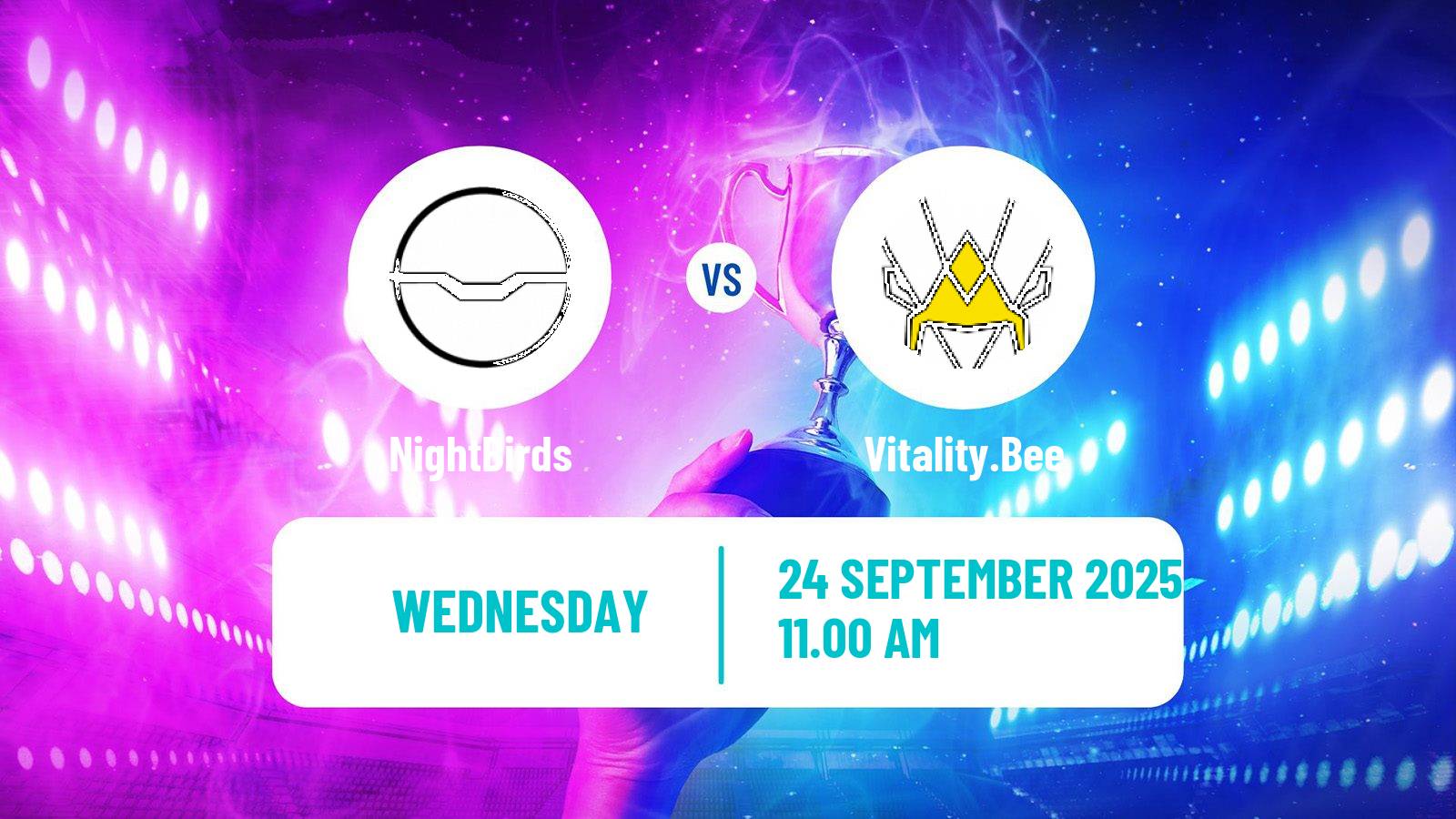 Esports League Of Legends Emea Masters NightBirds - Vitality.Bee
