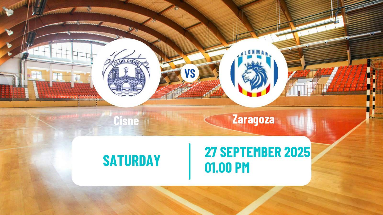 Handball Spanish Division de Honor Plata Handball Cisne - Zaragoza