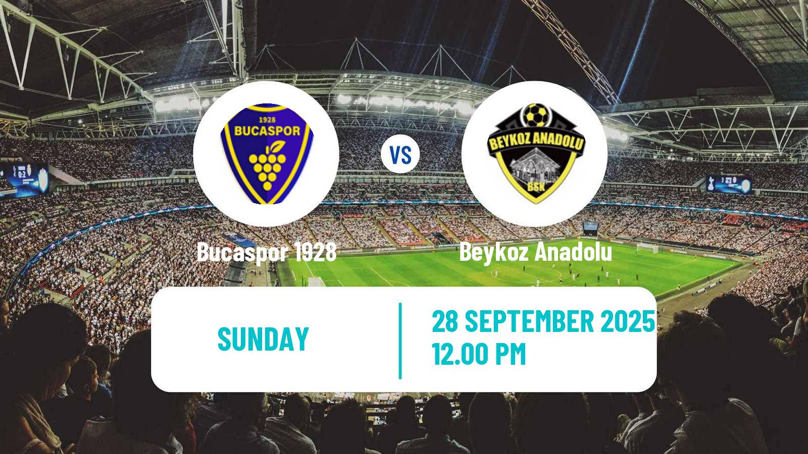 Soccer Turkish Second League White Group Bucaspor 1928 - Beykoz Anadolu