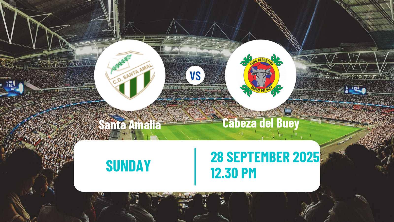 Soccer Spanish Tercera RFEF - Group 14 Santa Amalia - Cabeza del Buey