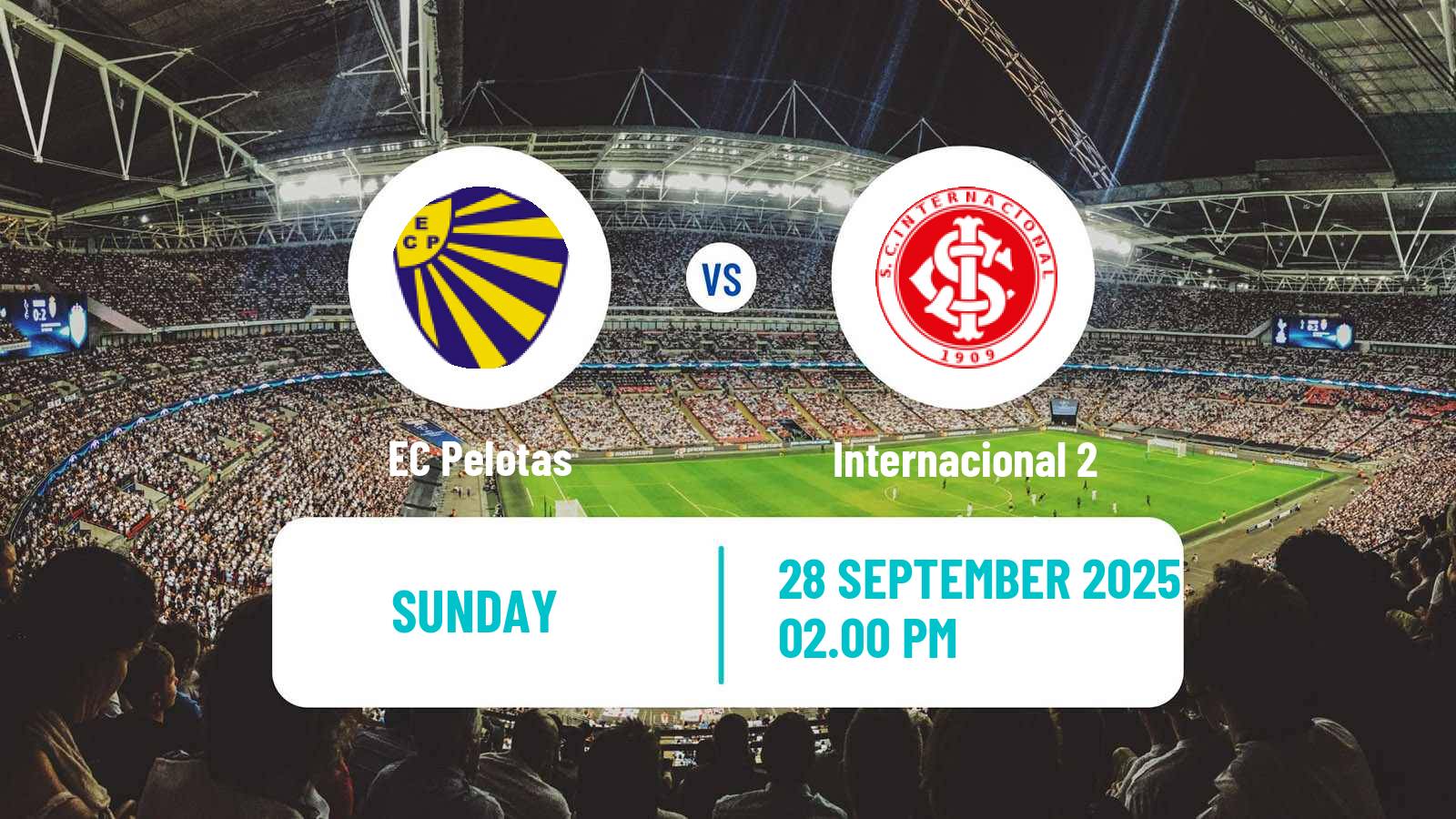 Soccer Brazilian Copa FGF EC Pelotas - Internacional 2