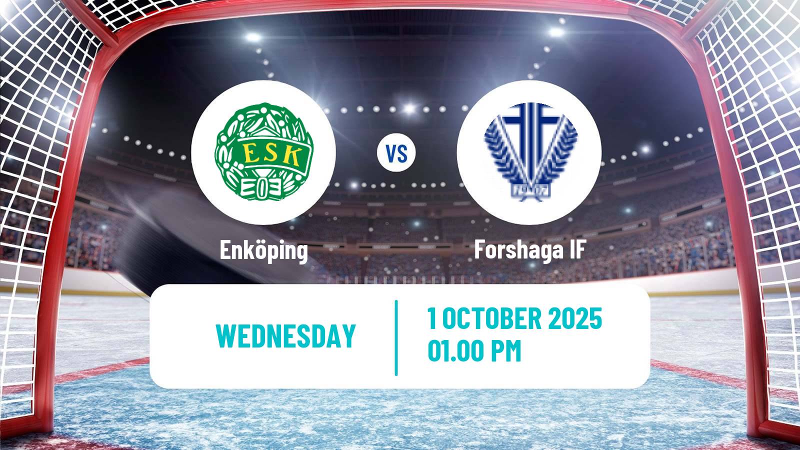 Hockey Swedish HockeyEttan Norra Enköping - Forshaga