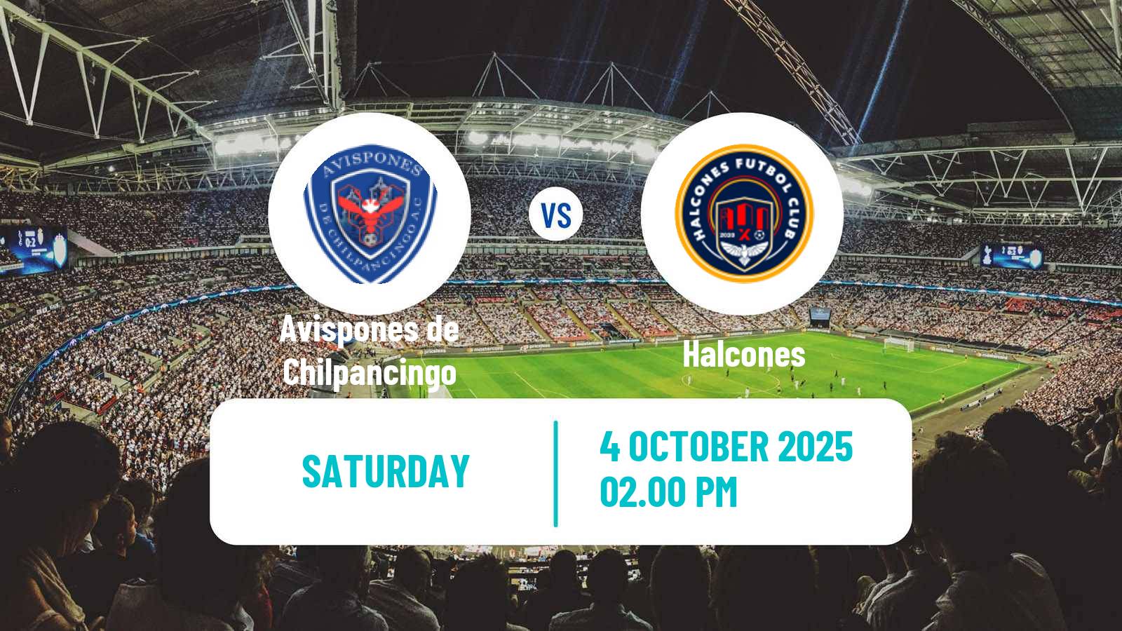 Soccer Mexican Liga Premier Serie A Avispones de Chilpancingo - Halcones