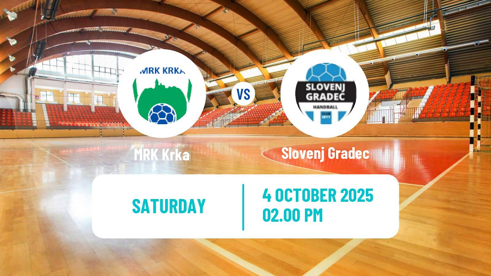 Handball Slovenian 1 NLB Liga Handball Krka - Slovenj Gradec