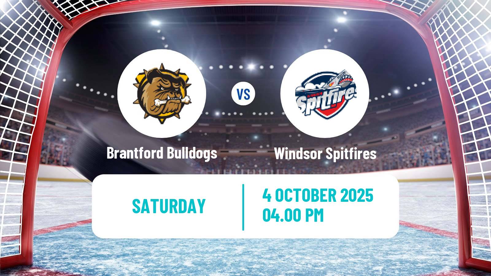 Hockey OHL Brantford Bulldogs - Windsor Spitfires