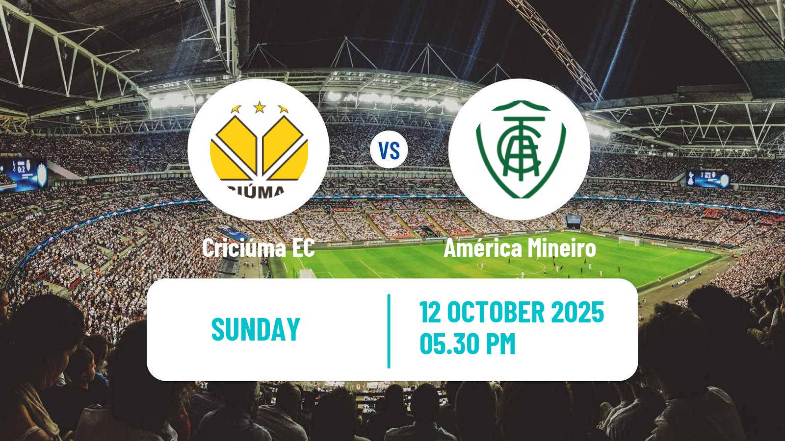 Soccer Brazilian Serie B Criciúma - América Mineiro
