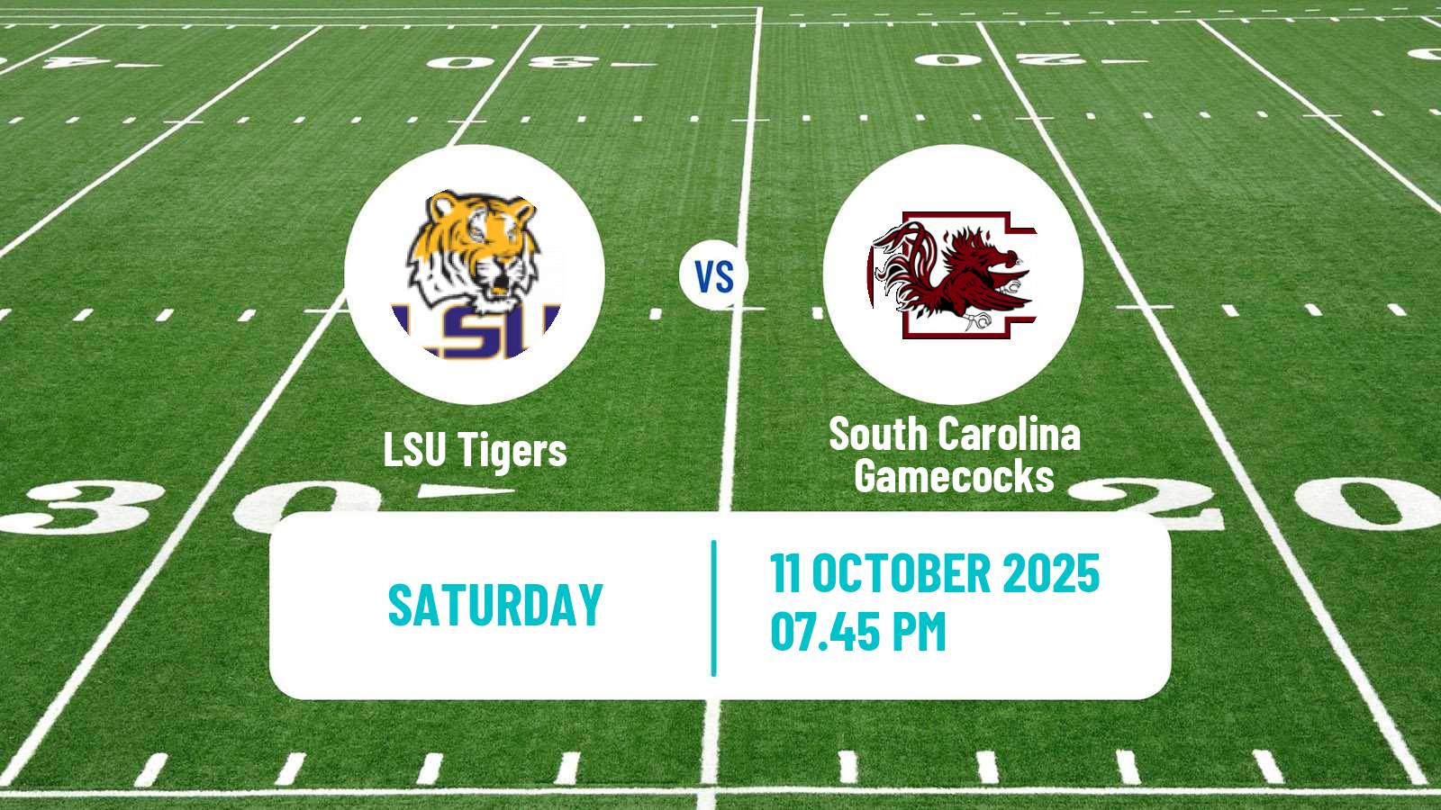 American football NCAA College Football LSU Tigers - South Carolina Gamecocks