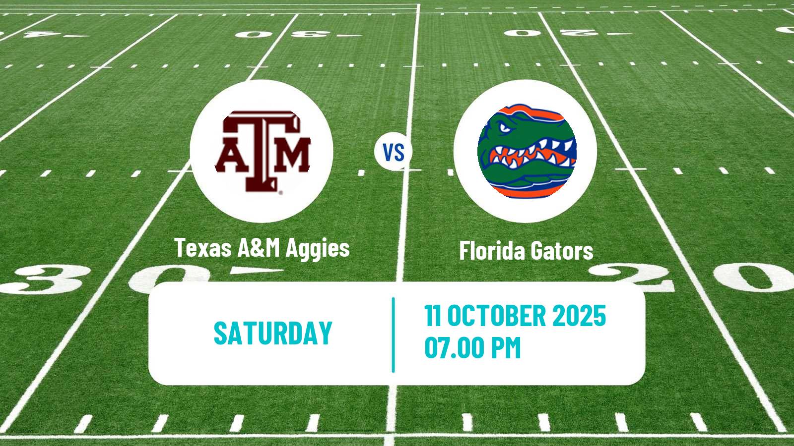American football NCAA College Football Texas A&M Aggies - Florida Gators