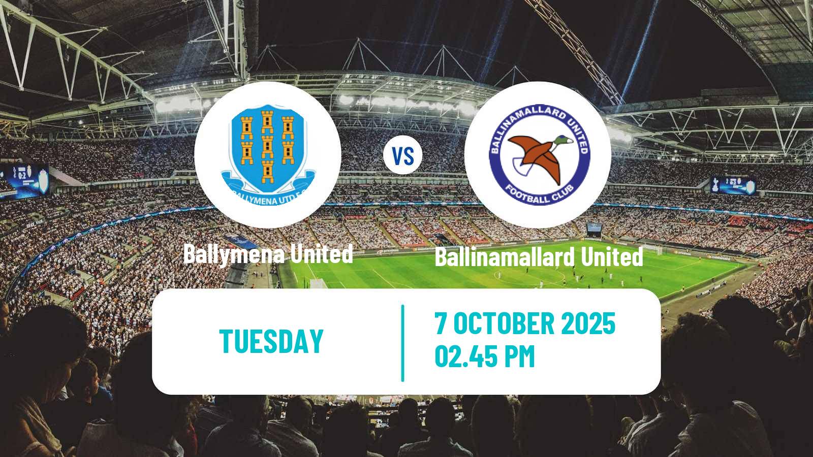 Soccer Northern Irish League Cup Ballymena United - Ballinamallard United