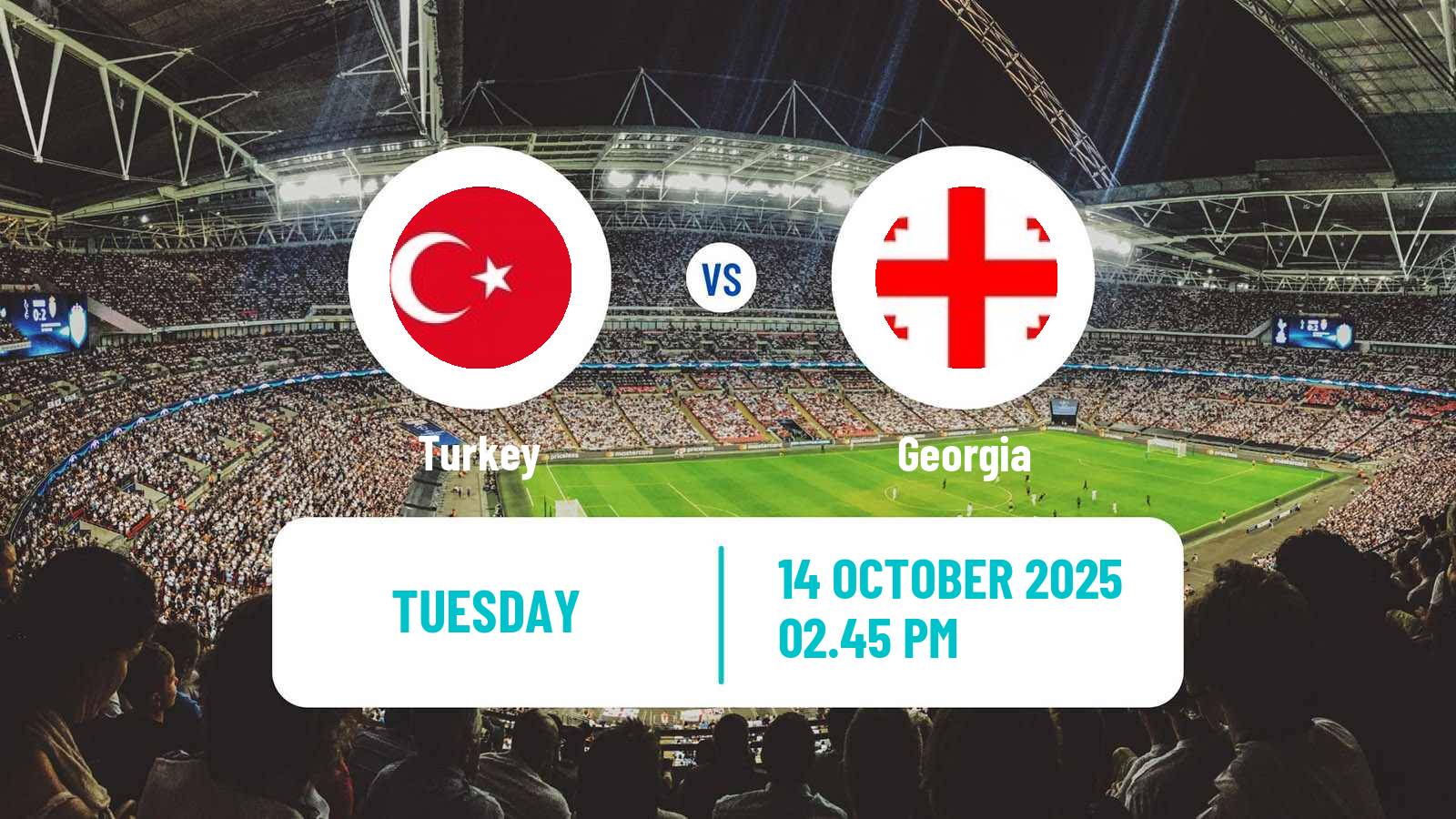 Soccer FIFA World Cup Turkey - Georgia