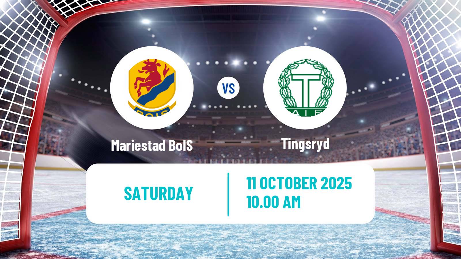 Hockey Swedish HockeyEttan Sodra Mariestad BoIS - Tingsryd
