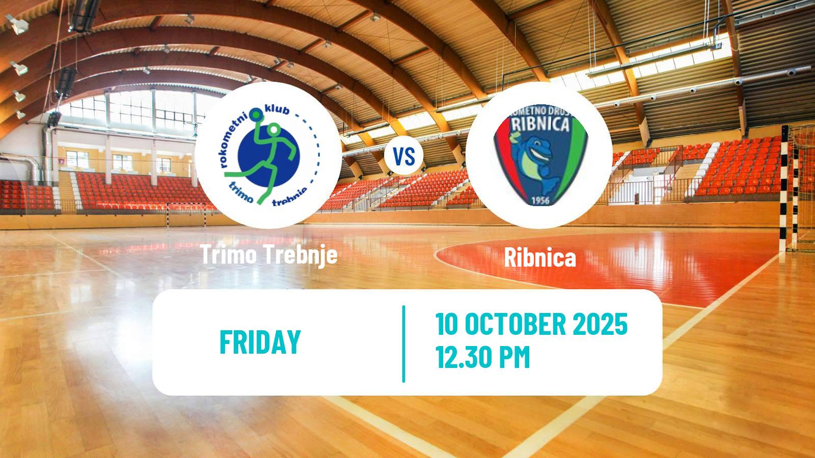 Handball Slovenian 1 NLB Liga Handball Trimo Trebnje - Ribnica