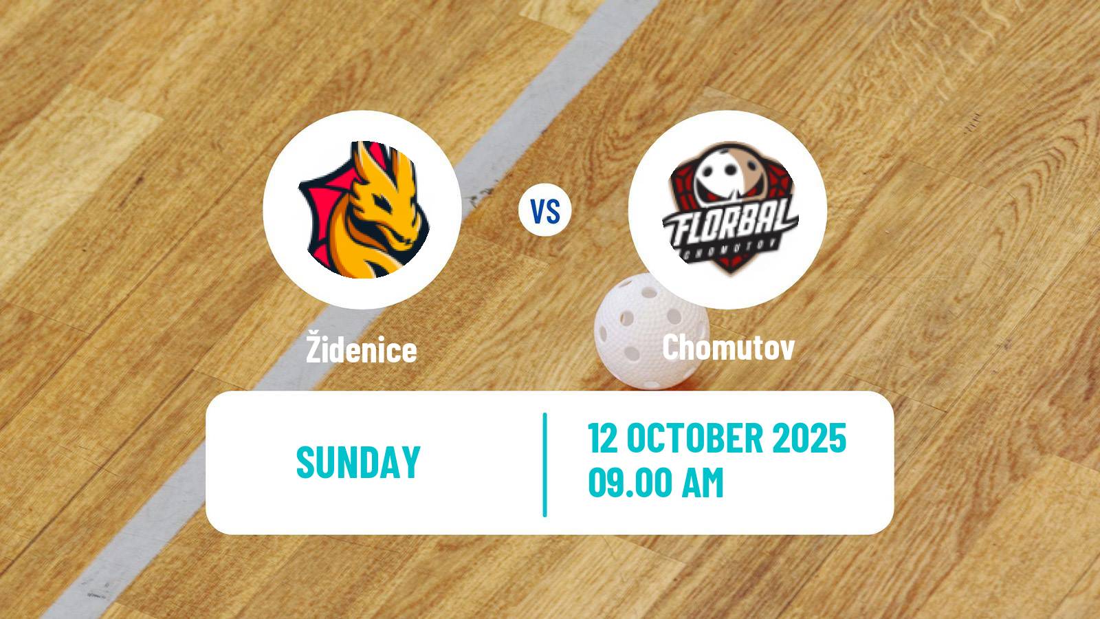Floorball Czech Extraliga Floorball Women Židenice - Chomutov